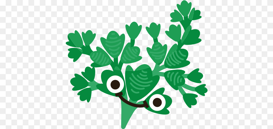 Cilantro Copy, Herbs, Parsley, Plant, Green Png Image