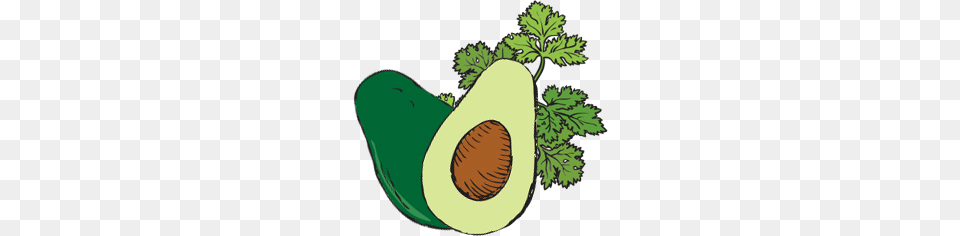 Cilantro Falafel Bowls Recipe Iloveorganicgirl, Avocado, Food, Fruit, Plant Png Image