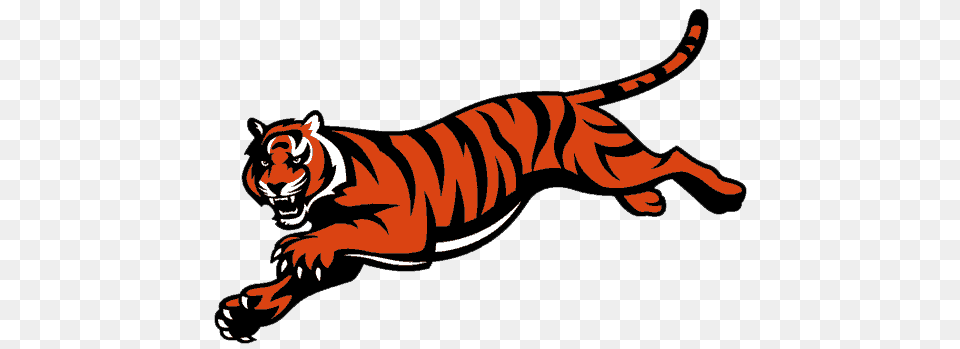 Cincinnati Bengals Clipart Clip Art Gridiron North American, Animal, Mammal, Tiger, Wildlife Png Image