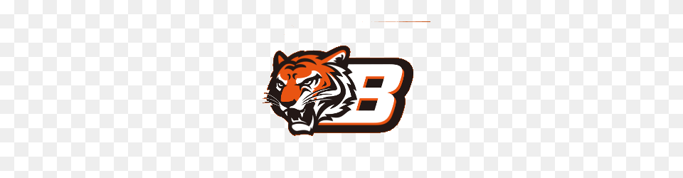 Cincinnati Bengals Concept Logo Sports Logo History, Animal, Mammal, Tiger, Wildlife Png