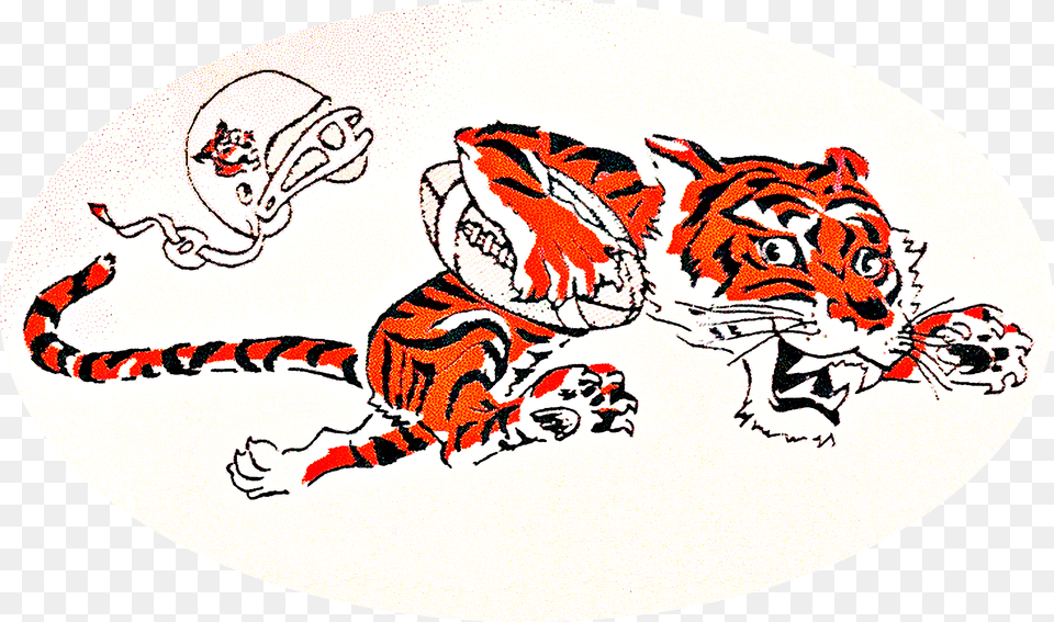 Cincinnati Bengals Logo, Animal, Mammal, Tiger, Wildlife Free Transparent Png