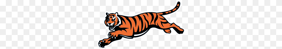 Cincinnati Bengals Logo Vector, Animal, Mammal, Tiger, Wildlife Png
