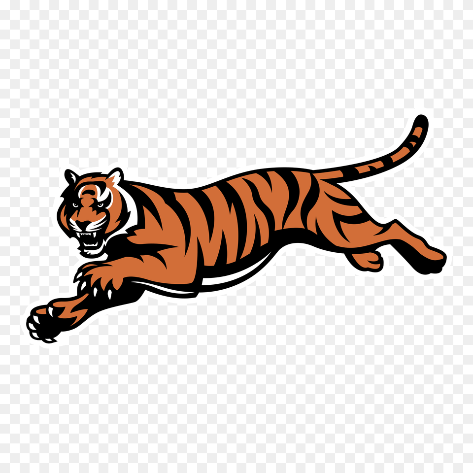 Cincinnati Bengals Nfl Logo American Football Clip Art, Animal, Mammal, Tiger, Wildlife Free Png
