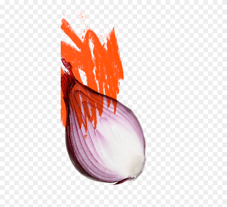 Cinder House Flame One Red Onion, Food, Produce, Plant, Vegetable Free Png
