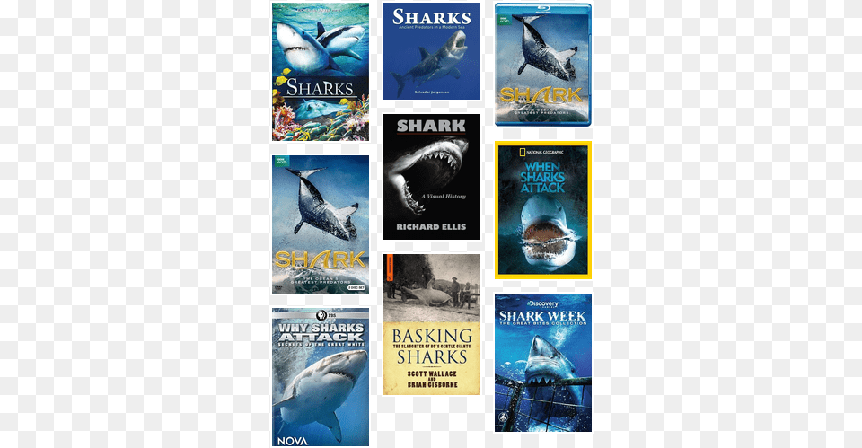Cinema Libre Studios Sharks Dvd Usa Import, Book, Publication, Animal, Sea Life Free Png