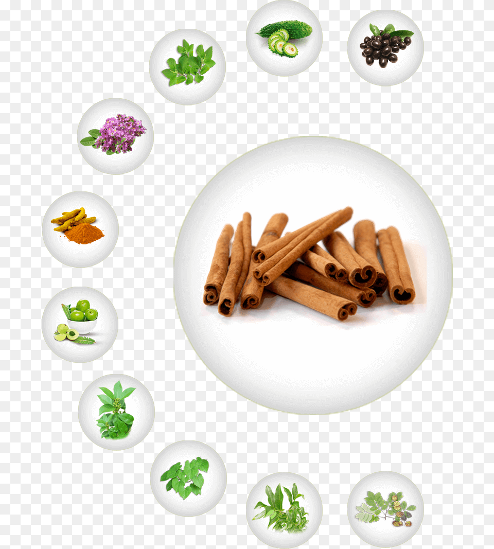 Cinnamon Dalchina Chekka, Herbal, Herbs, Leaf, Plant Png