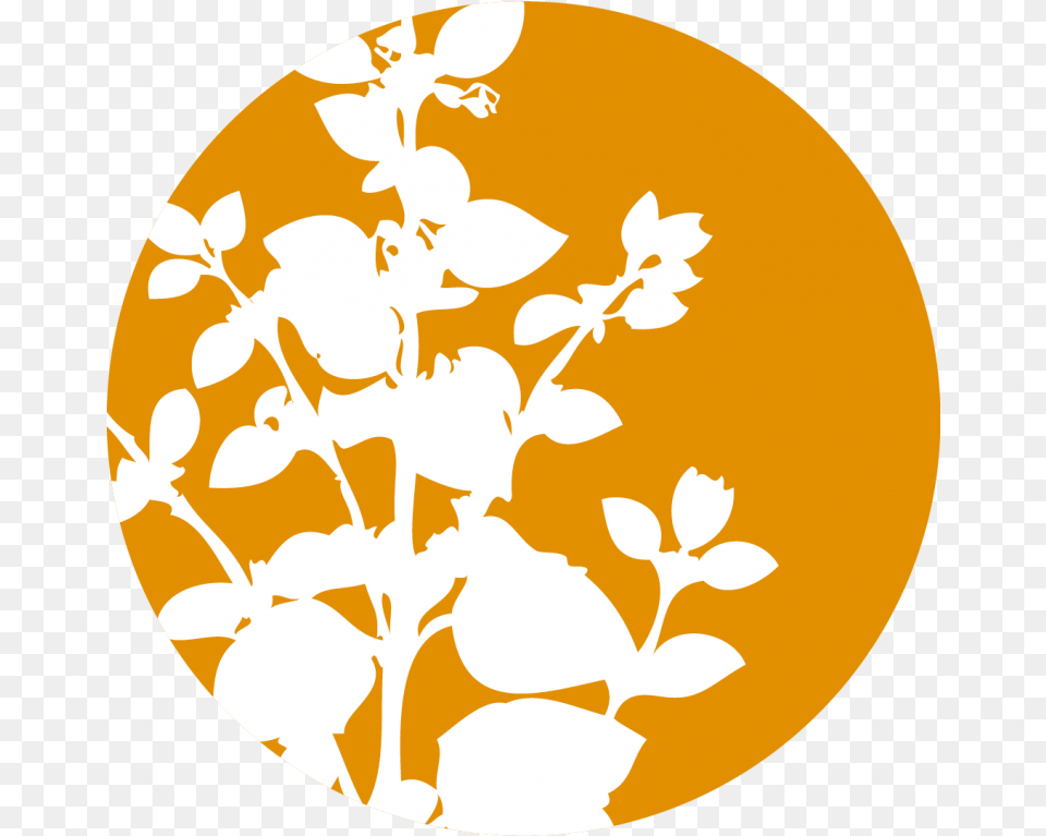 Cinnamon Flower Icon, Art, Floral Design, Graphics, Pattern Free Transparent Png