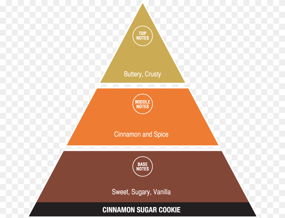 Cinnamon Sugar Cookie Social Structure Of The Usa, Triangle Free Png Download