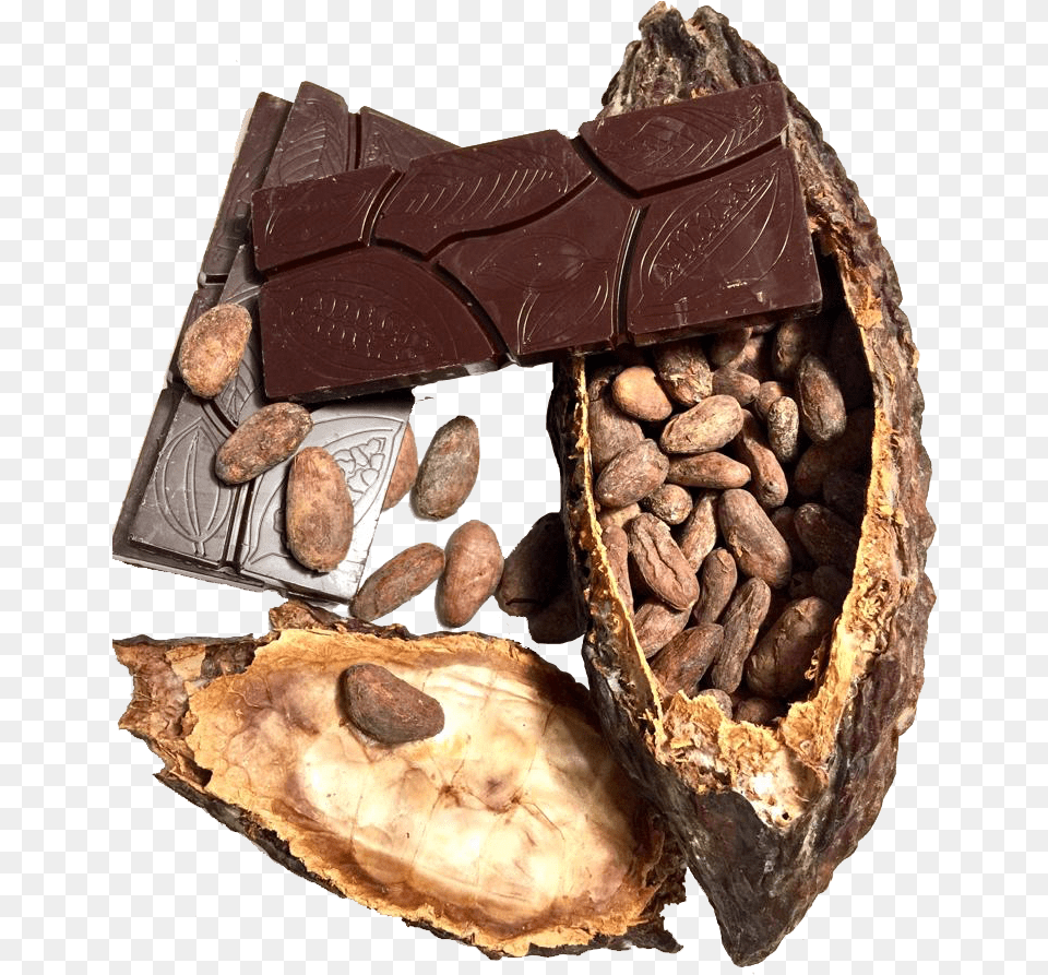 Ciocolata Chocolate, Cocoa, Dessert, Food, Animal Png