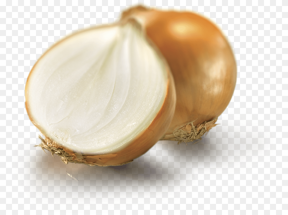 Cipolla Dorata, Food, Produce, Onion, Plant Free Png