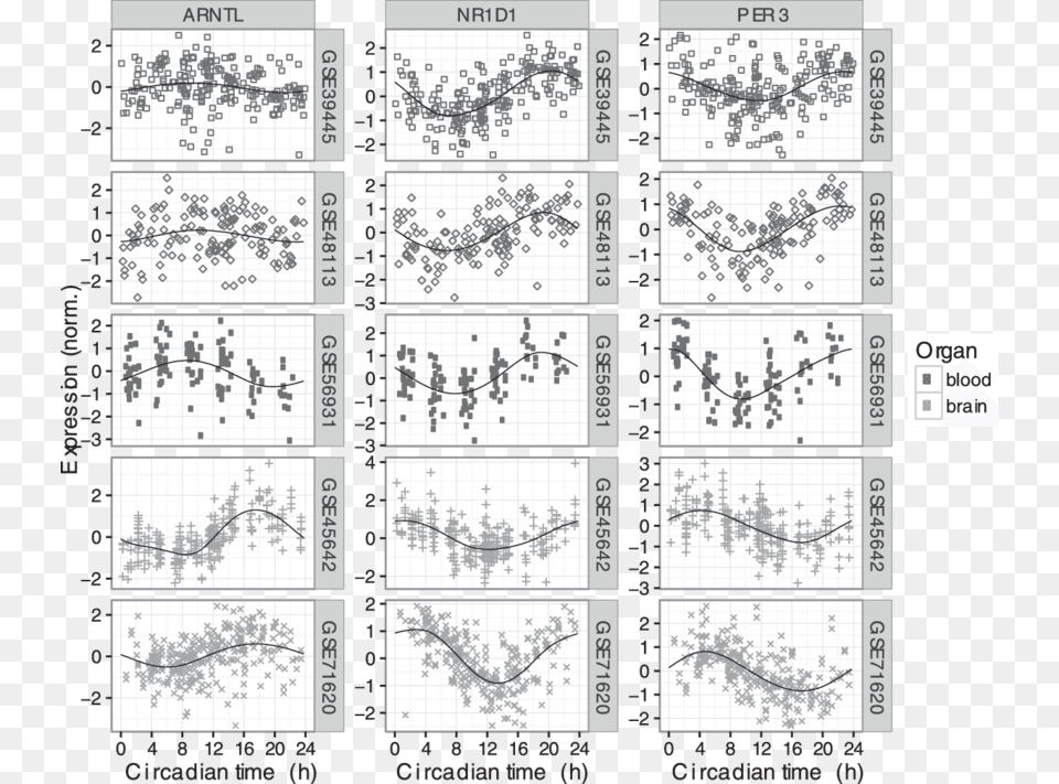 Circadian Expression Of Three Clock Genes Across Five Monochrome, Text, Chart, Plot Png