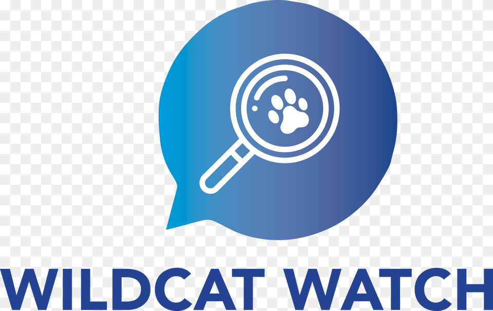 Circle, Racket Free Png