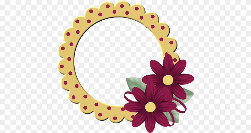 Circle, Pattern, Oval, Flower, Plant Png