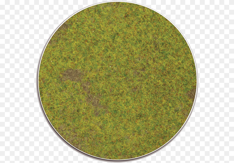 Circle, Moss, Plant, Grass, Home Decor Png