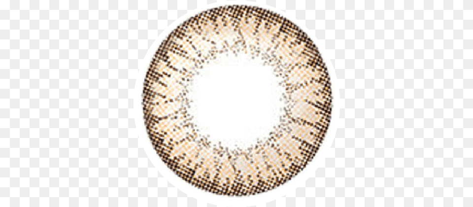 Circle, Home Decor, Rug, Chandelier, Lamp Free Png