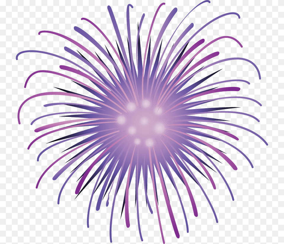 Circle, Purple, Fireworks, Plant, Flower Free Png Download