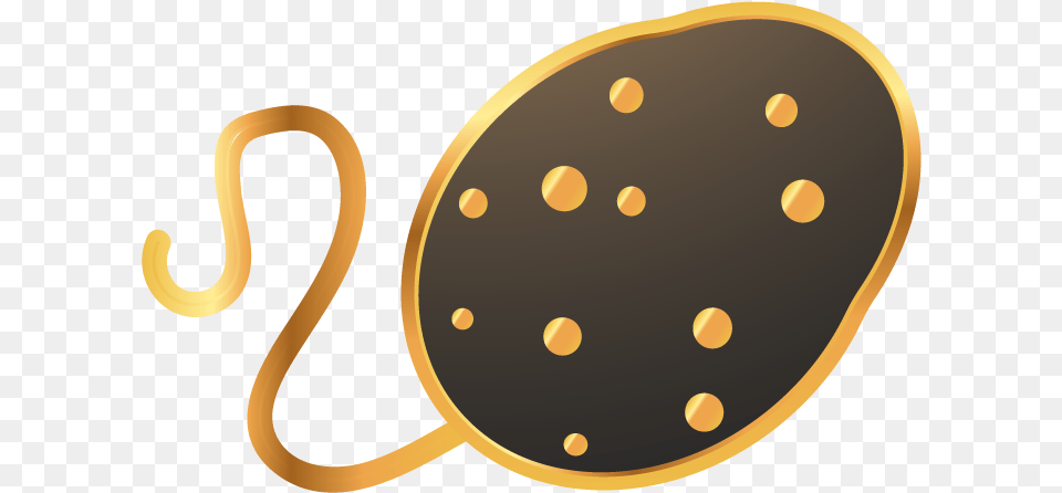Circle, Disk, Astronomy, Moon, Nature Free Transparent Png