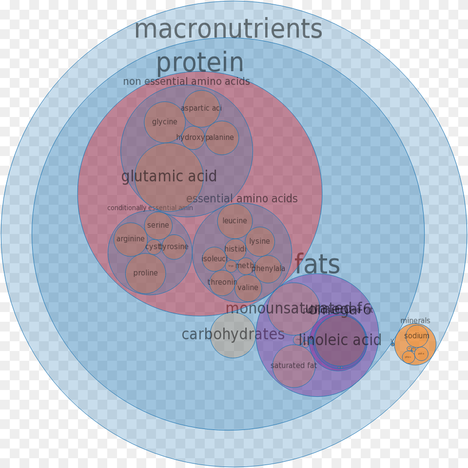 Circle, Diagram, Disk, Venn Diagram Png Image