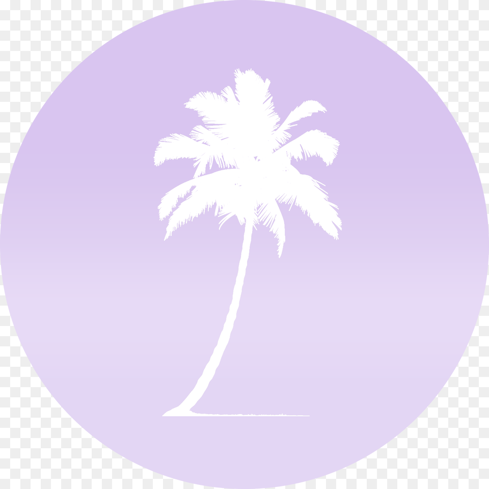 Circle, Palm Tree, Plant, Tree, Nature Free Transparent Png