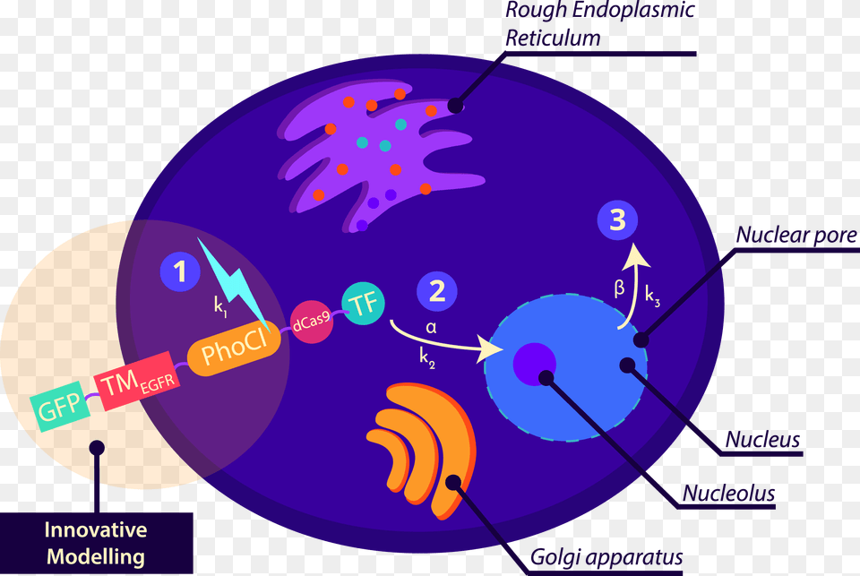 Circle, Disk, Sphere, Purple, Diagram Png