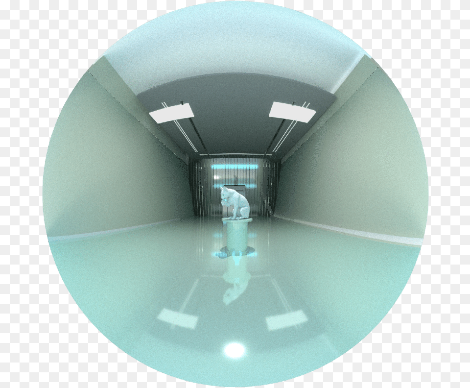 Circle, Architecture, Building, Corridor, Indoors Png