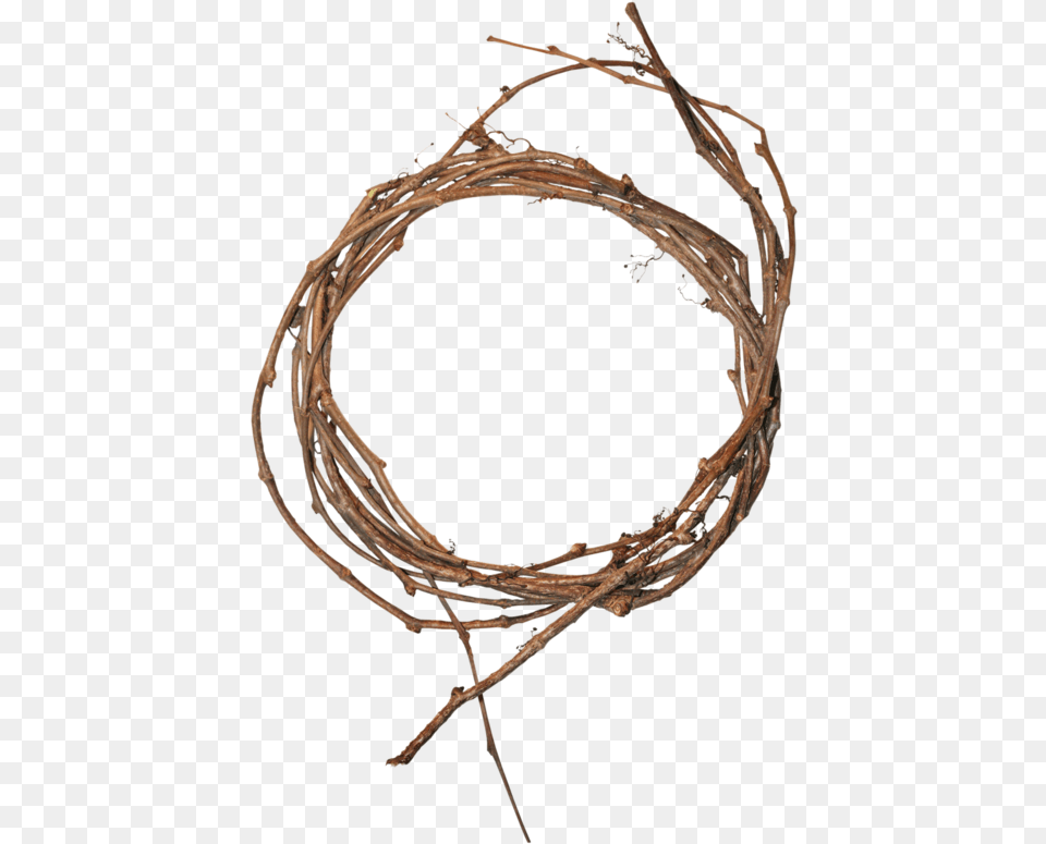 Circle, Animal, Dinosaur, Reptile, Wire Png