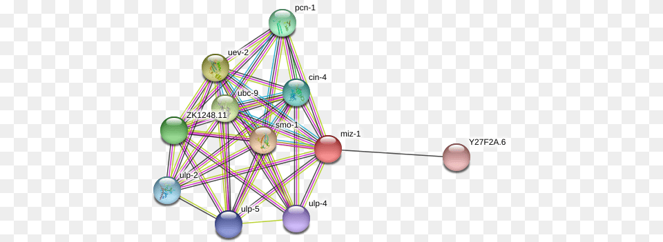 Circle, Sphere, Network, Nature, Night Free Transparent Png