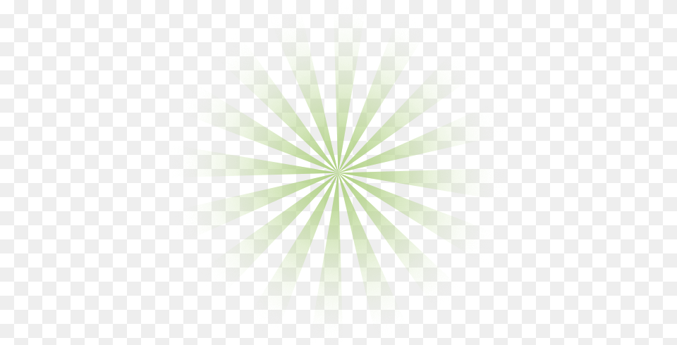 Circle, Green, Grass, Plant, Home Decor Png Image