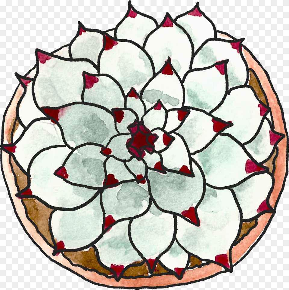 Circle, Art, Pattern, Leaf, Plant Png