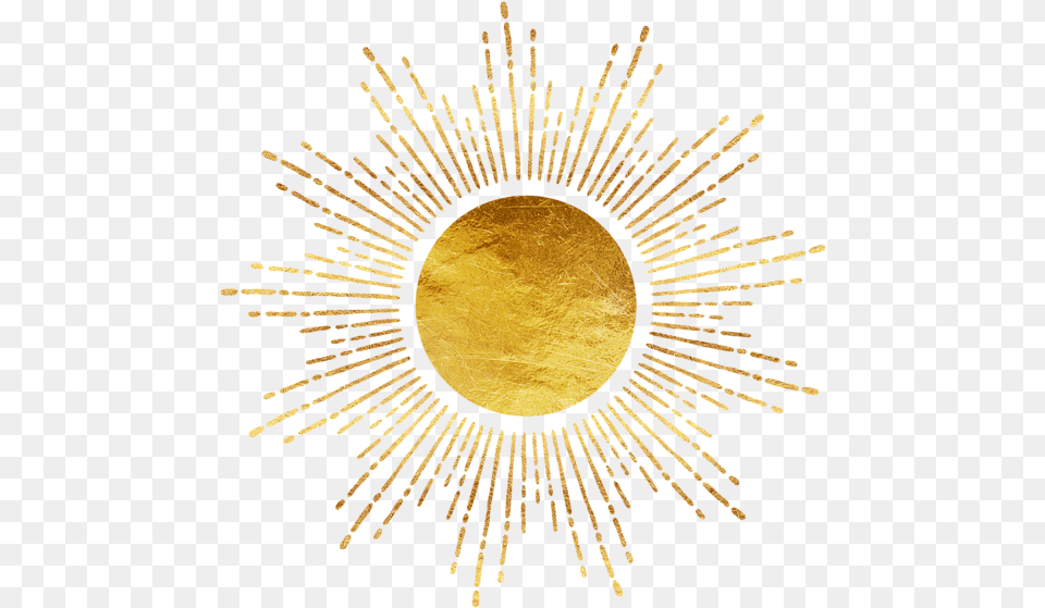 Circle, Lighting, Gold, Plant, Outdoors Free Png