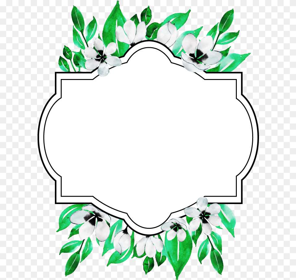 Circle, Leaf, Plant, Oval Png
