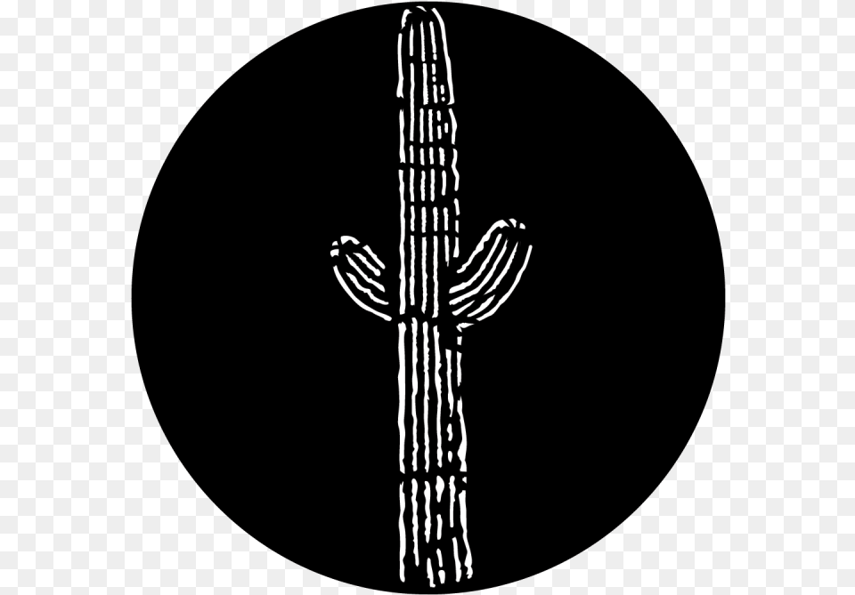 Circle, Cactus, Plant Free Transparent Png