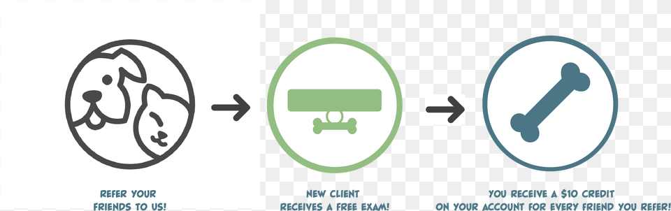 Circle Free Transparent Png