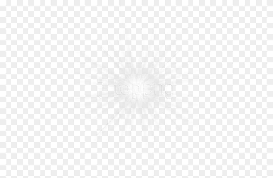 Circle, Flare, Light, Plant, Lighting Png Image