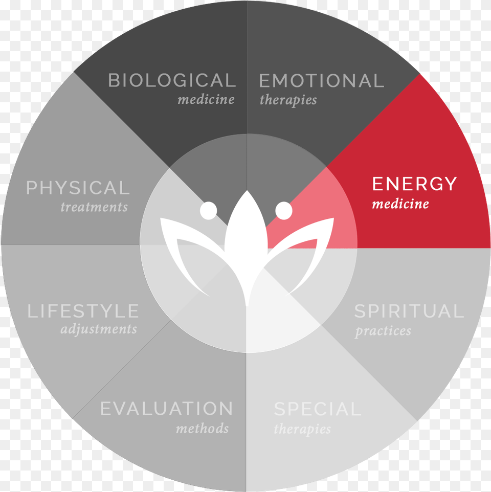 Circle, Disk, Chart, Pie Chart Free Png Download