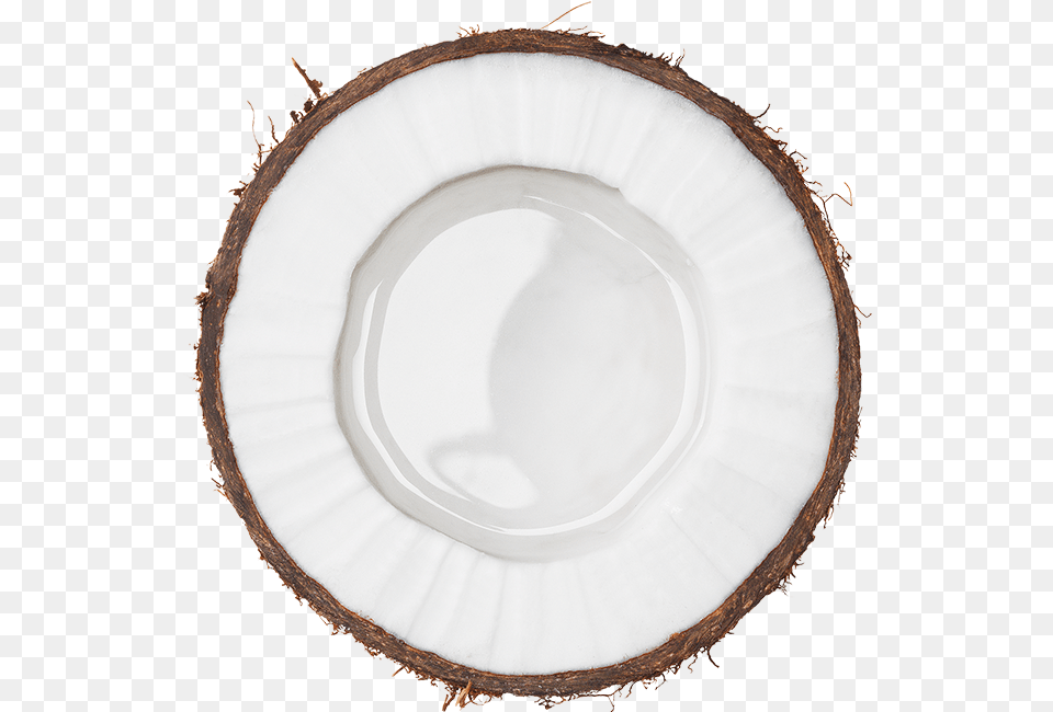 Circle, Coconut, Food, Fruit, Plant Free Png Download