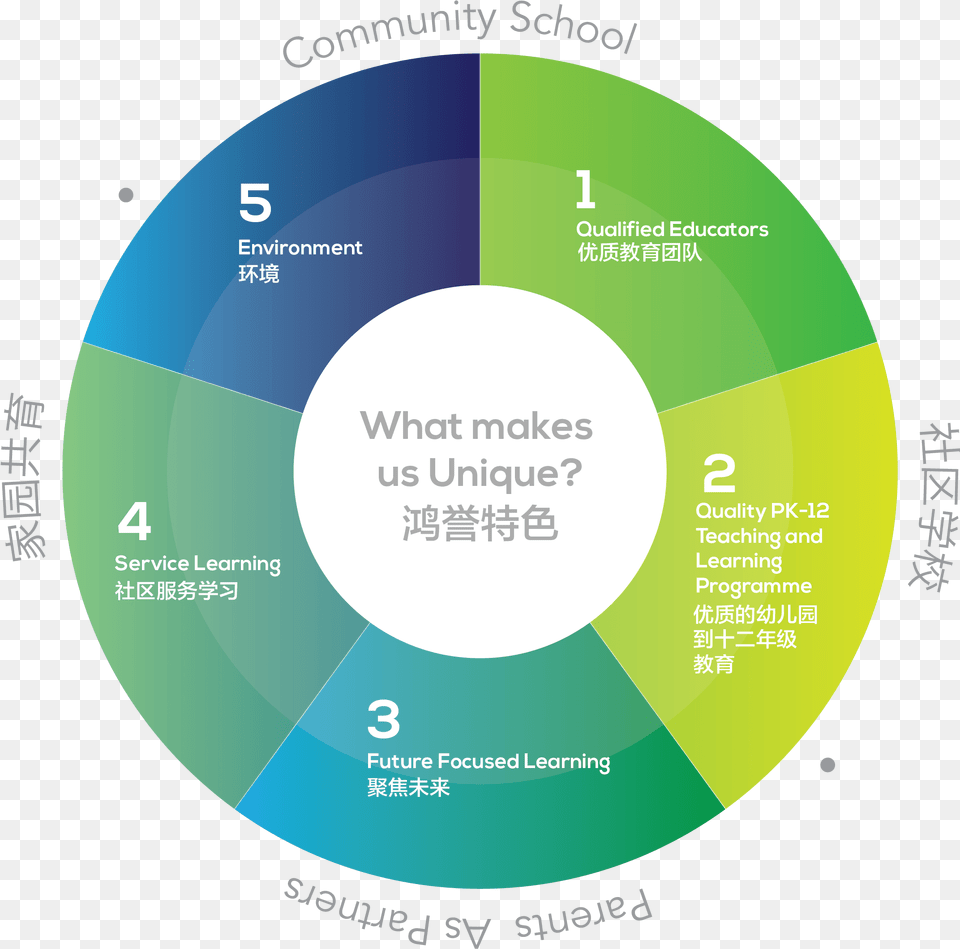 Circle, Disk, Chart, Pie Chart Free Transparent Png