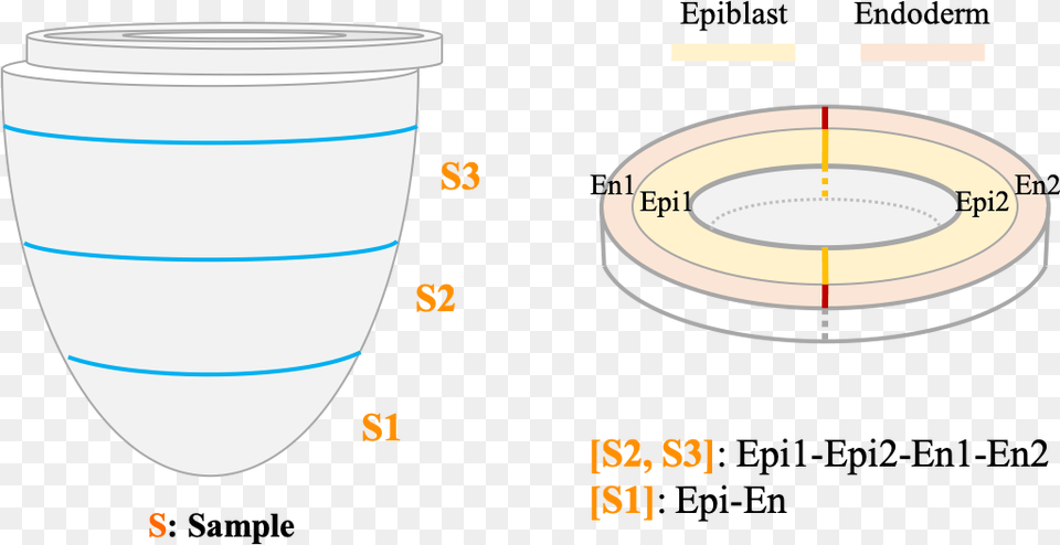 Circle, Chart, Plot, Cup, Jar Png Image