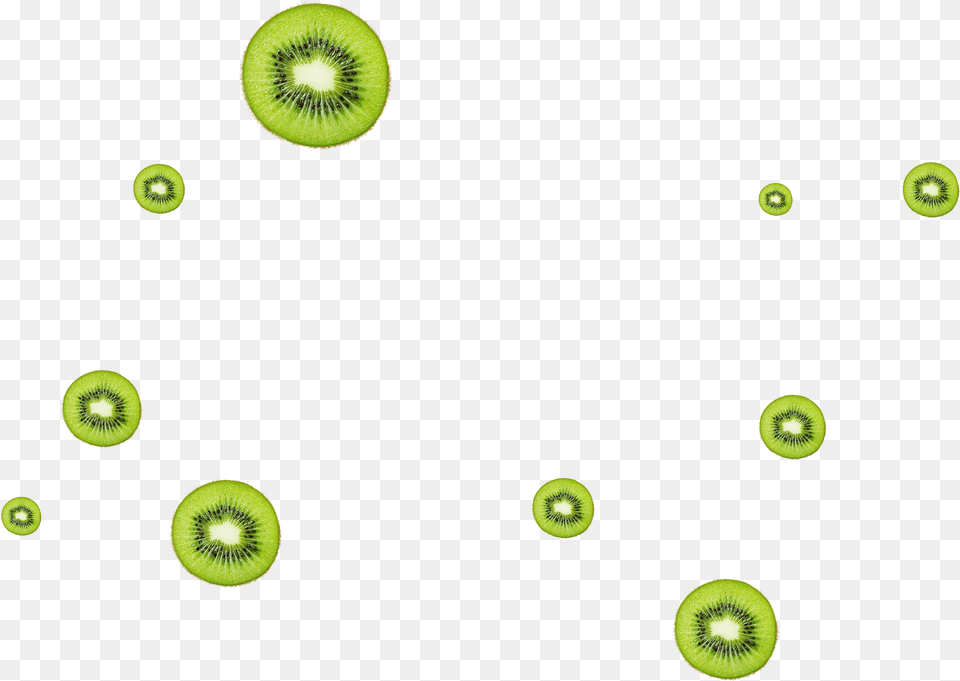 Circle, Food, Fruit, Produce, Plant Png