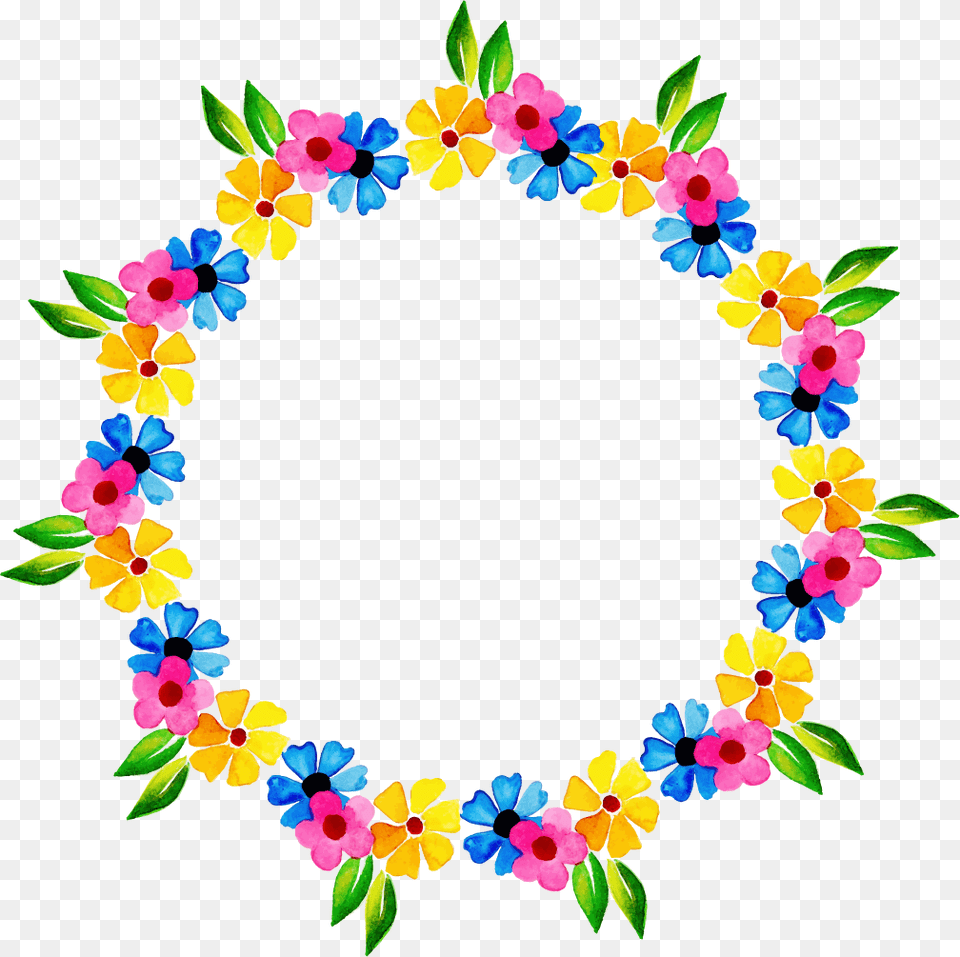 Circle, Plant, Pattern, Graphics, Flower Arrangement Free Png