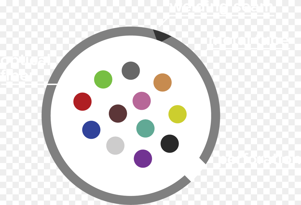 Circle, Paint Container, Palette, Disk Free Transparent Png