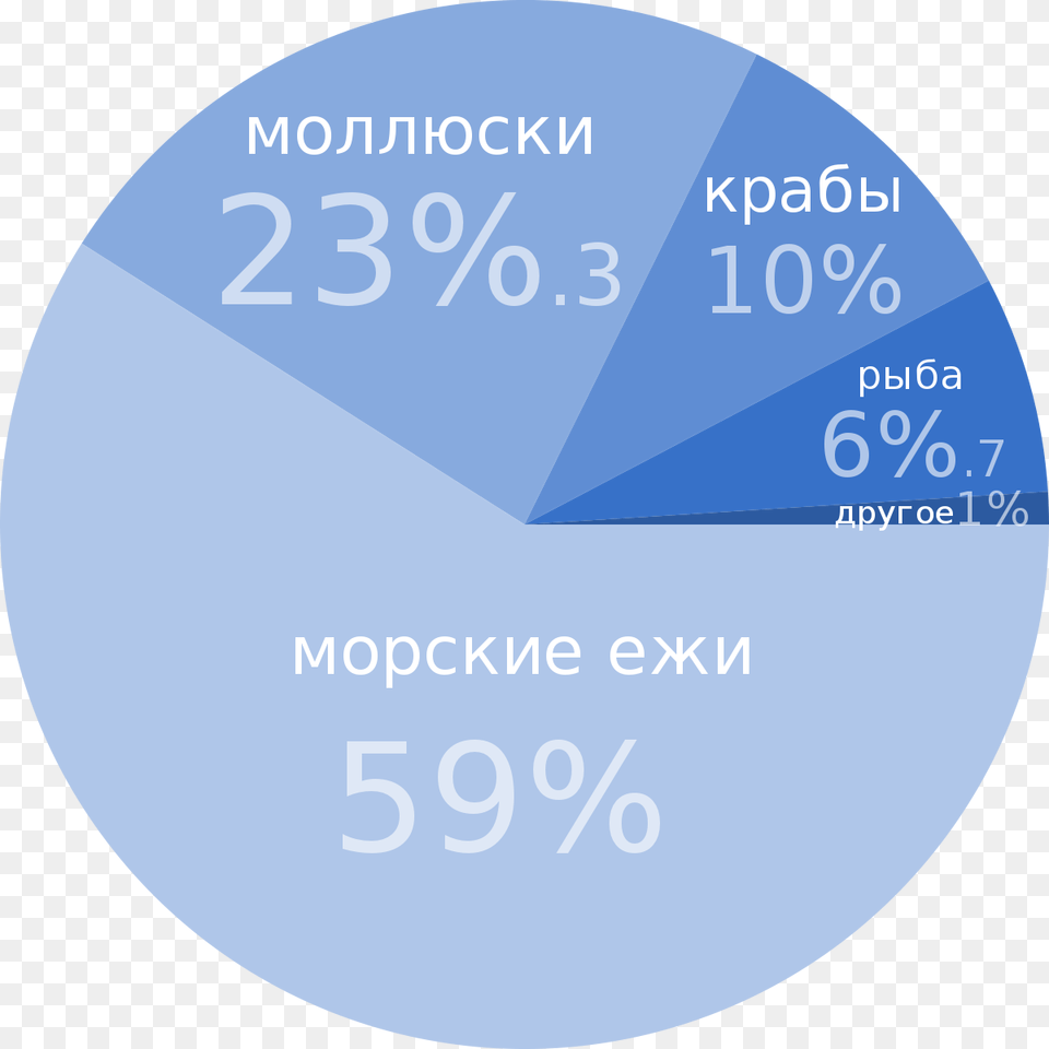 Circle, Disk, Chart, Pie Chart Png Image