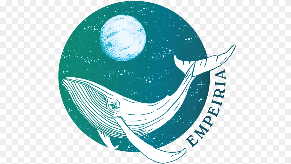 Circle, Animal, Mammal, Sea Life, Whale Png