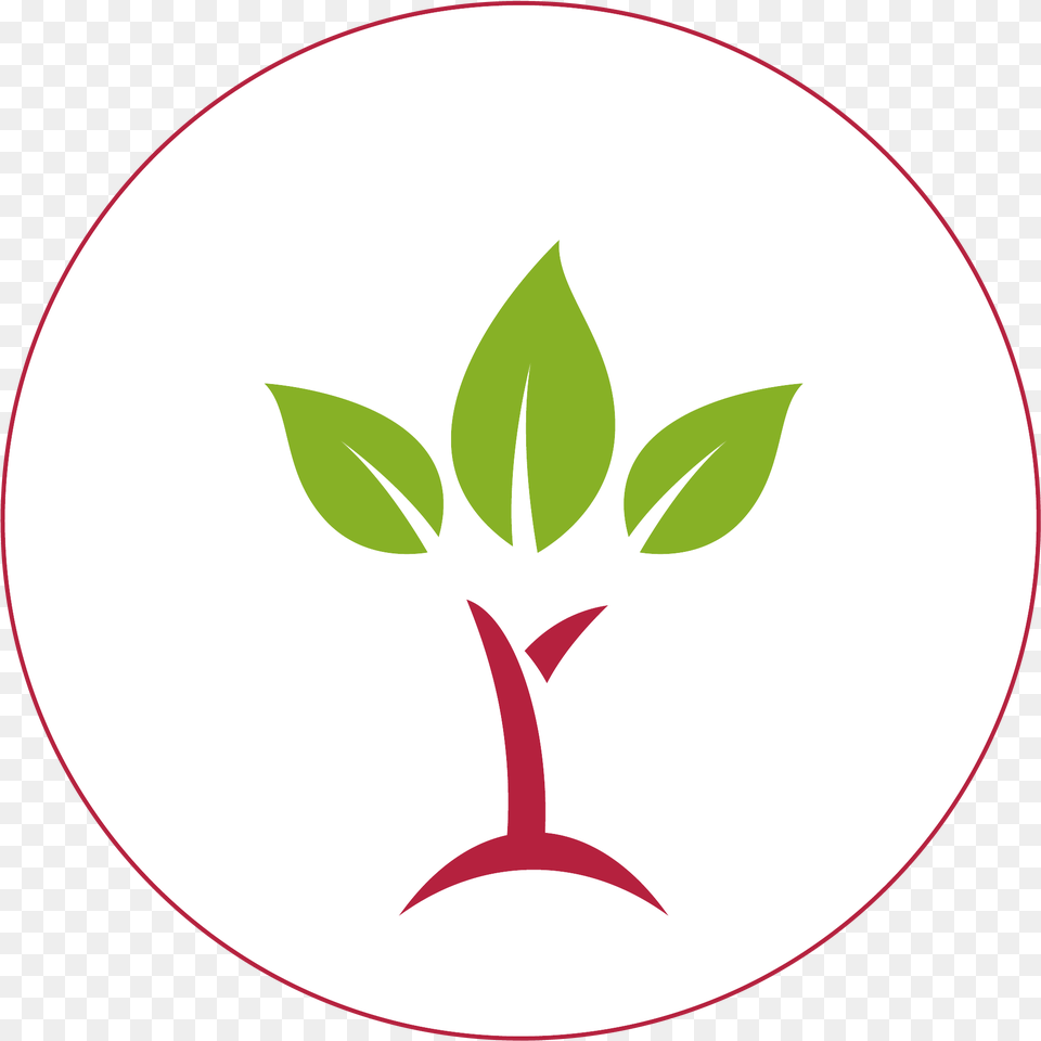 Circle, Plant, Herbal, Herbs, Leaf Png Image