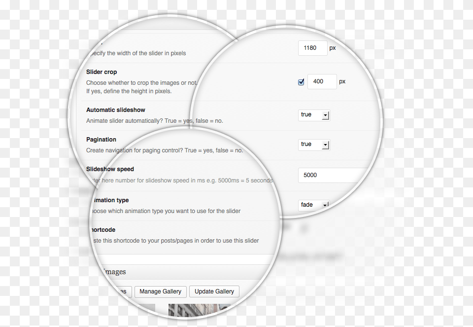 Circle, Diagram, Page, Text, Disk Free Png