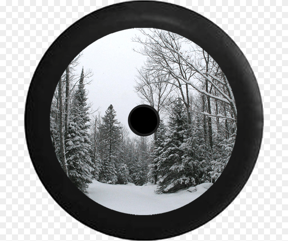 Circle, Hole, Photography, Tree, Plant Free Png
