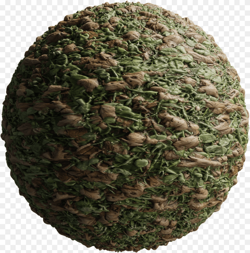 Circle, Sphere, Plant Png