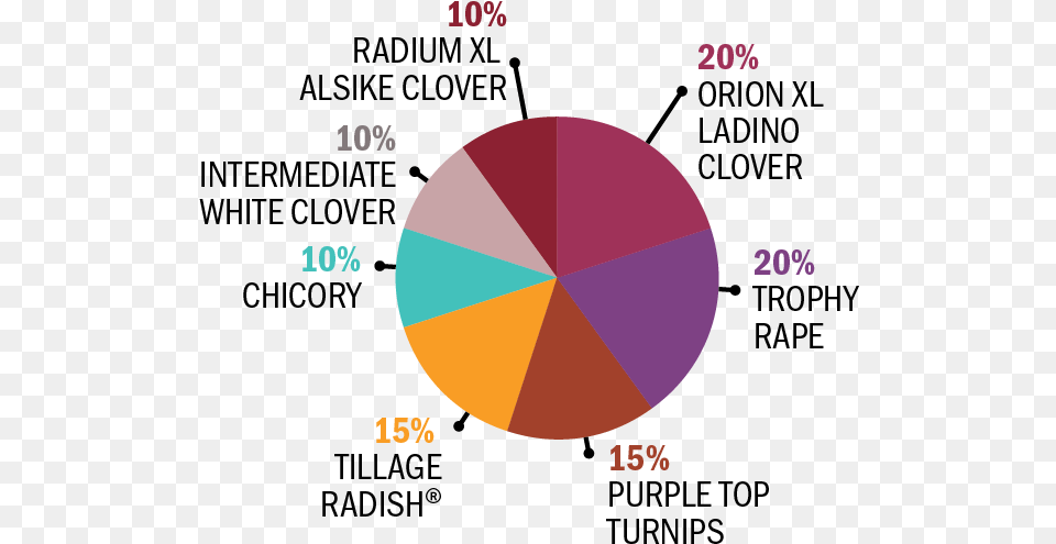 Circle, Chart, Pie Chart Png Image