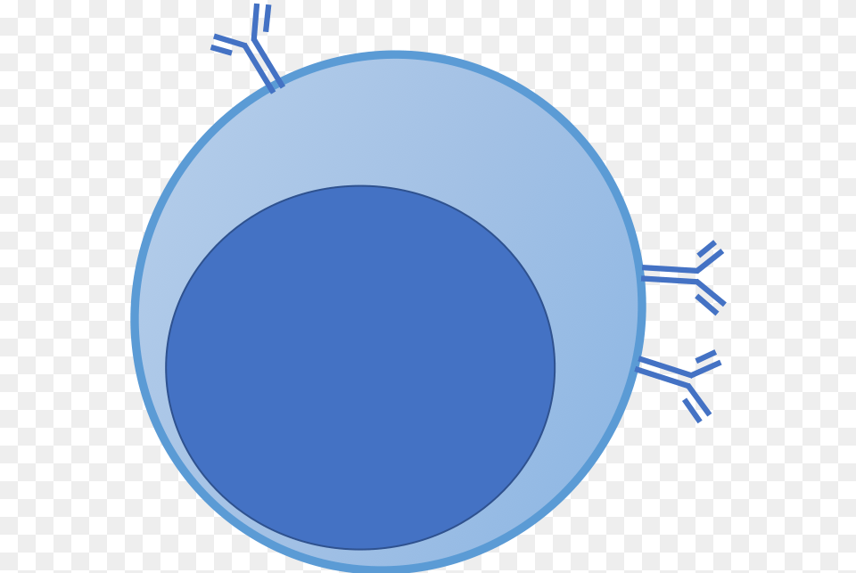 Circle Png