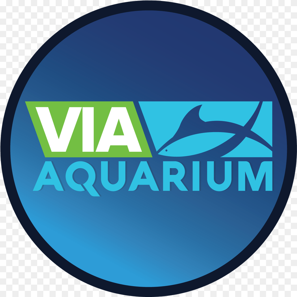 Circle, Logo, Disk, Animal, Sea Life Png Image